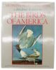 Picture of Original Water Color Paintings By John James Audubon For Birds Of America