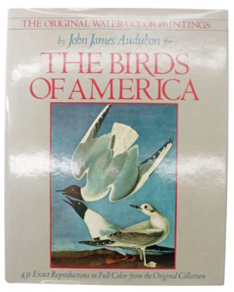 Picture of Original Water Color Paintings By John James Audubon For Birds Of America