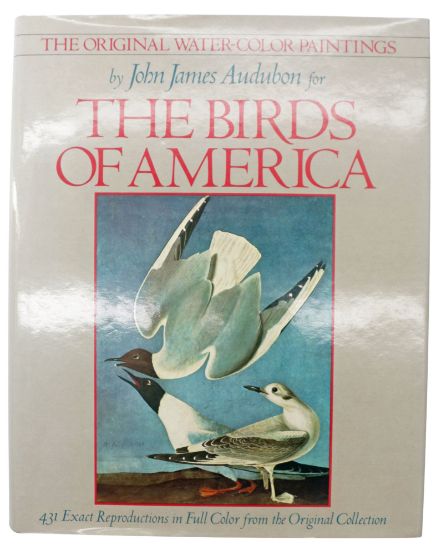 Picture of Original Water Color Paintings By John James Audubon For Birds Of America
