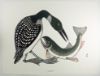 Picture of The Loon and the Fish