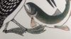 Picture of The Loon and the Fish