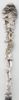 Picture of Antique Victorian Sterling Silver Berry Scoop