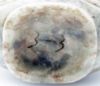 Picture of Antique Chinese Archaistic Carved Jade Mythical Bird Vase
